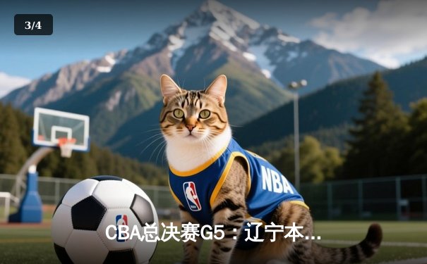 CBA总决赛G5：辽宁本钢加时险胜广东宏远 成功卫冕总冠军 - 3